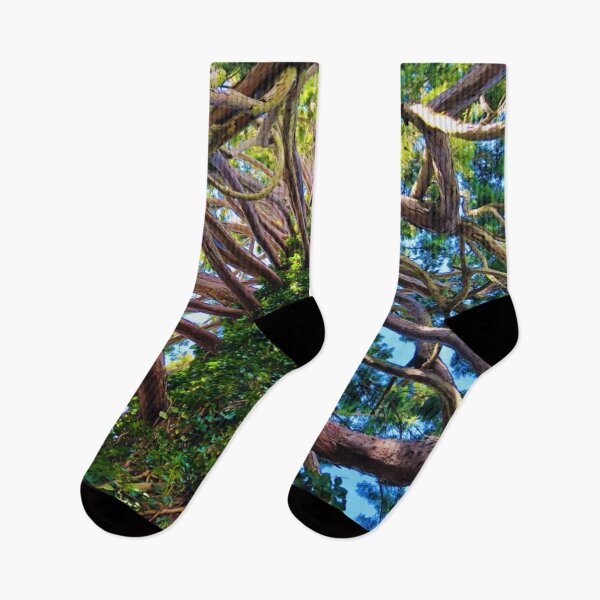 Item preview, Redwood designed and sold by MazGhani.