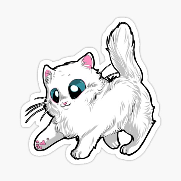 Pegatina Gato Persa Bebe Blanco De Furiarossa Redbubble