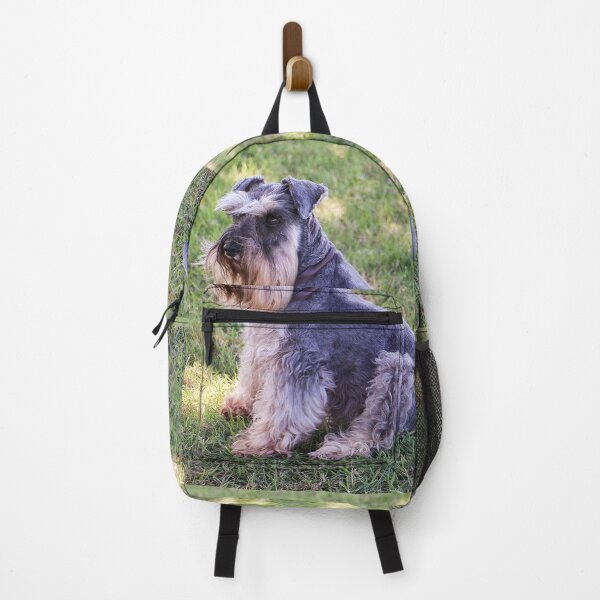 Item preview, Schnauzer sitting on the grass designed and sold by Ohlordi.