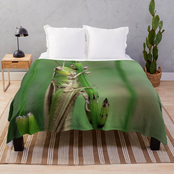 Item preview, Saltamontes de pantano menor designed and sold by cuprum.
