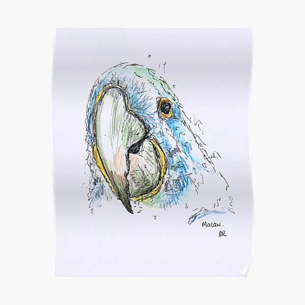Póster «Guacamaya azul» de DebTheZeb | Redbubble Póster «Guacamaya azul» de DebTheZeb | Redbubble