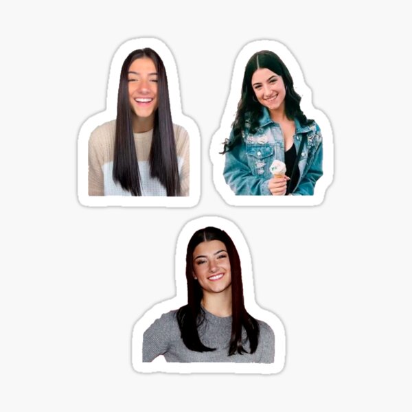 Charli Stickers Redbubble