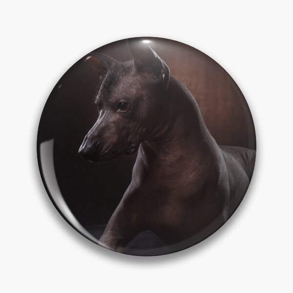 Item preview, Xoloitzcuintle  designed and sold by Xolo-Rescue.