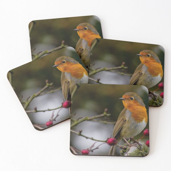 Item preview, Robin Redbreast designed and sold by Violaman.