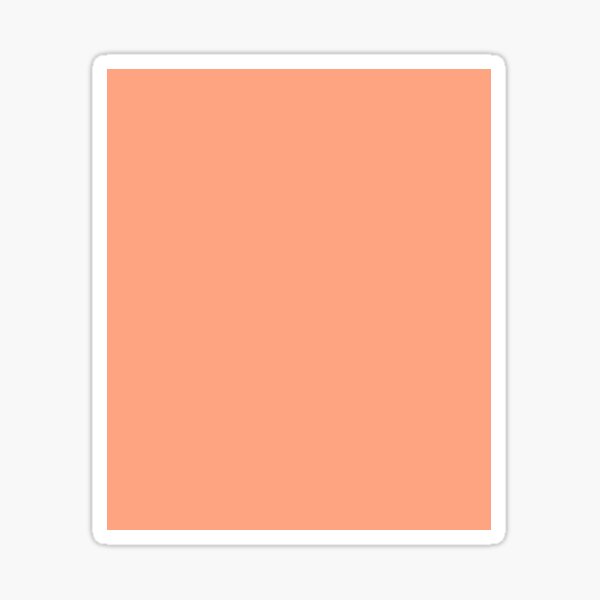 Cantaloupe Solid Color • Plain Background Colour