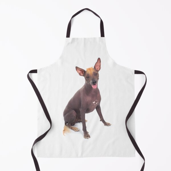 Item preview, Xoloitzcuintle designed and sold by Xolo-Rescue.