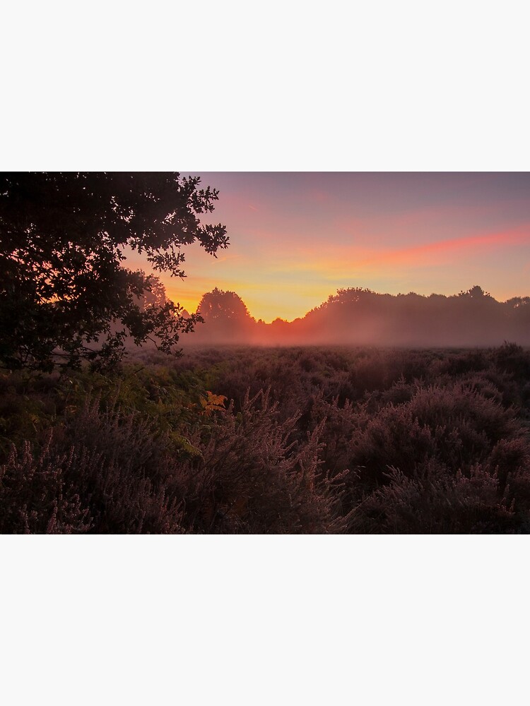 Budby Sunrise by DawnsArt92