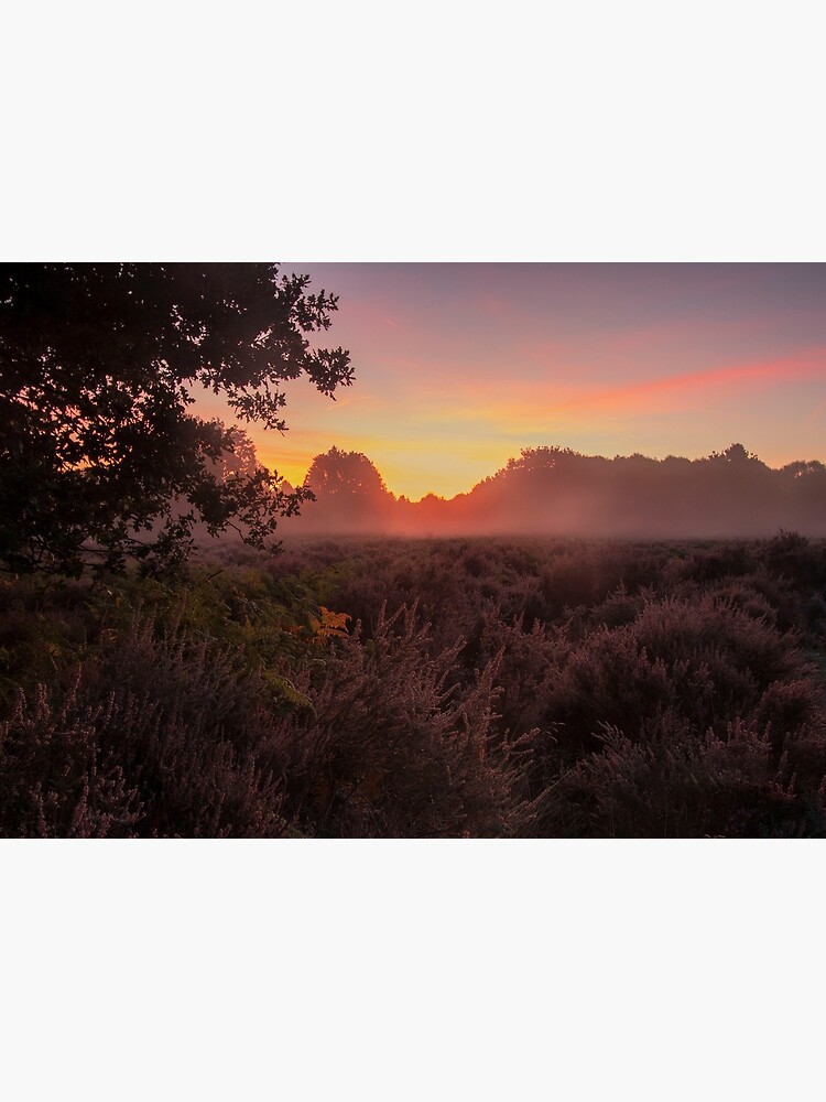 Budby Sunrise by DawnsArt92