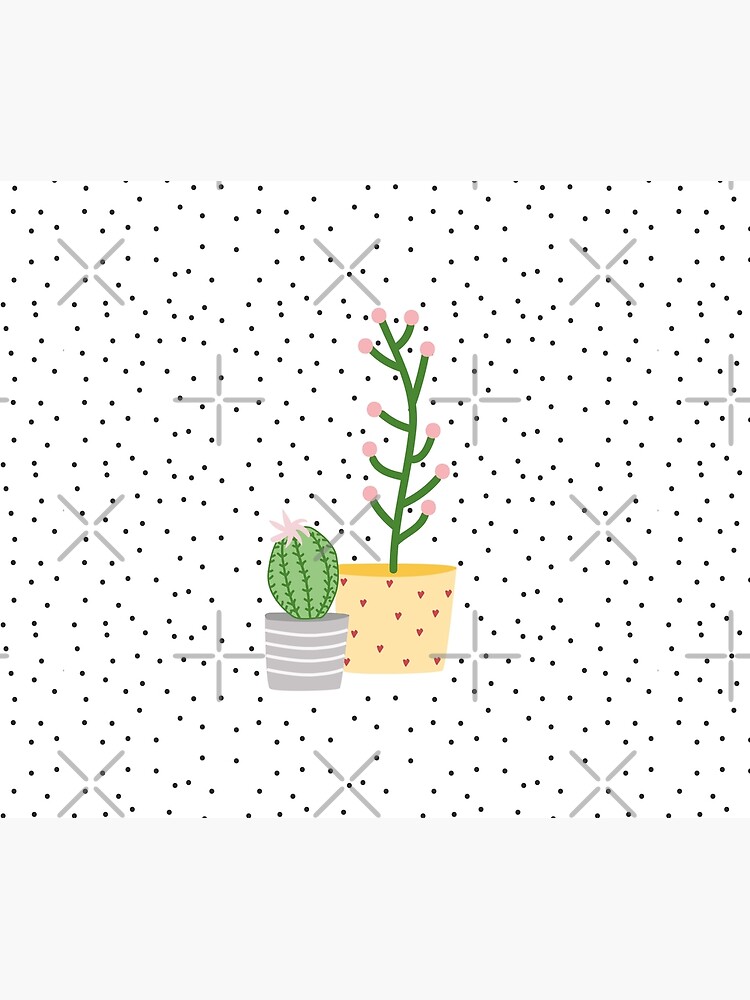 Plant life, cactus by ColorsHappiness