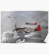 Tuskegee Airmen Poster