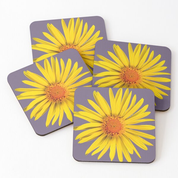 Item preview, Flower | Yellow | Daisy | Macro photography | 2023  designed and sold by aloresarts.