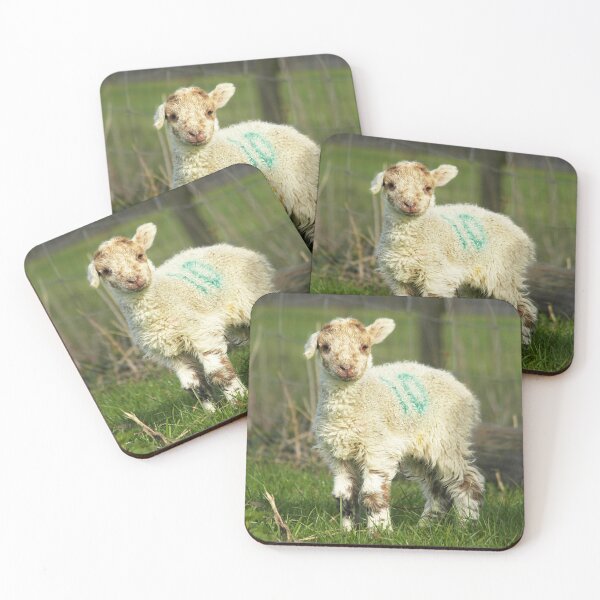 Item preview, Meet Wonky designed and sold by Fay Freshwater.