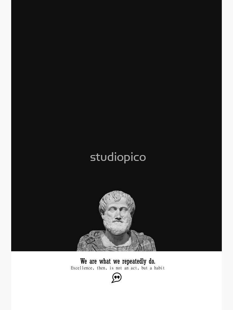 Aristotle Quote We are what we repeatedly do by studiopico
