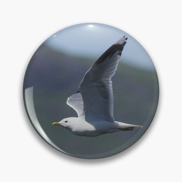 Item preview, Common Gull designed and sold by DawnsArt92.