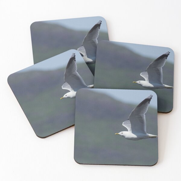 Item preview, Common Gull designed and sold by DawnsArt92.