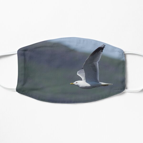 Common Gull Flat Mask