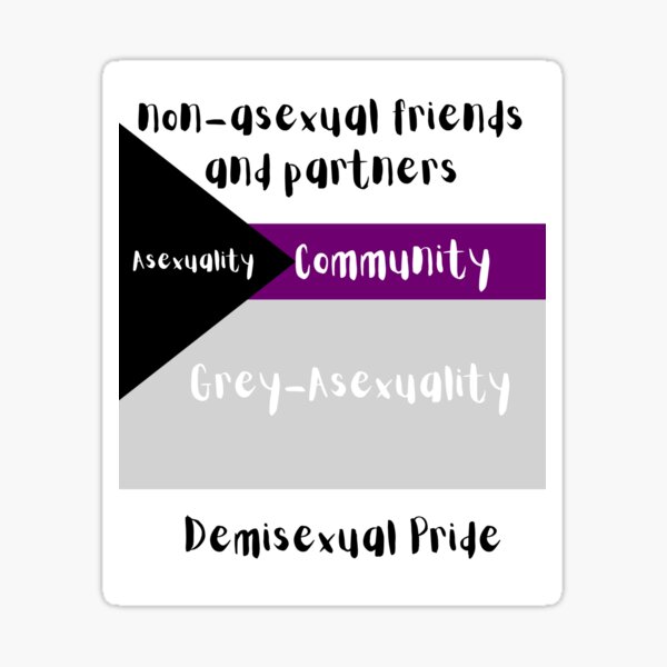 Demisexual Pride Flag Meaning Sticker For Sale By Zayzaydesigns