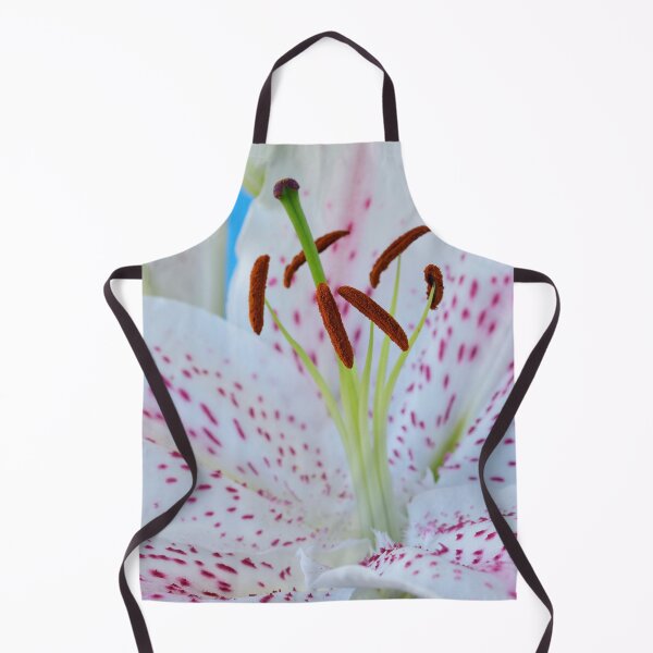 Item preview, Lilium 'Extravaganza' Lily Oriental hybrid designed and sold by Chris Burrows.