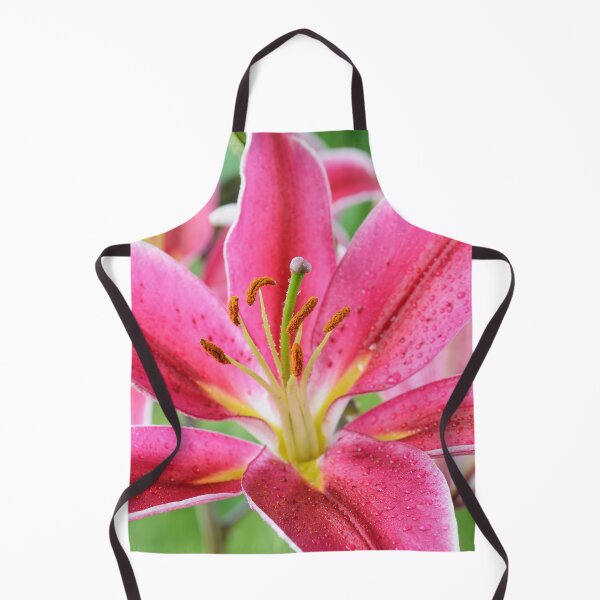 Item preview, Lilium  'Joop'  Oriental hybrid lily  designed and sold by Chris Burrows.