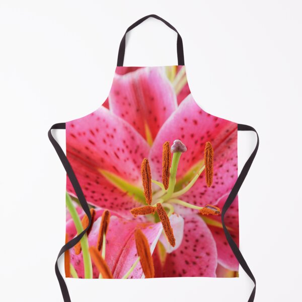 Item preview, Lilium  'Star Gazer'  Oriental hybrid lily  designed and sold by Chris Burrows.
