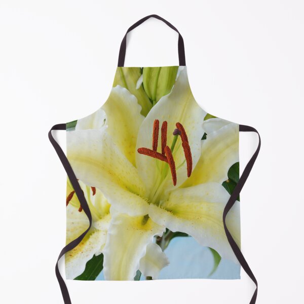 Item preview, Lilium  'Chill Out'  Oriental hybrid lily designed and sold by Chris Burrows.