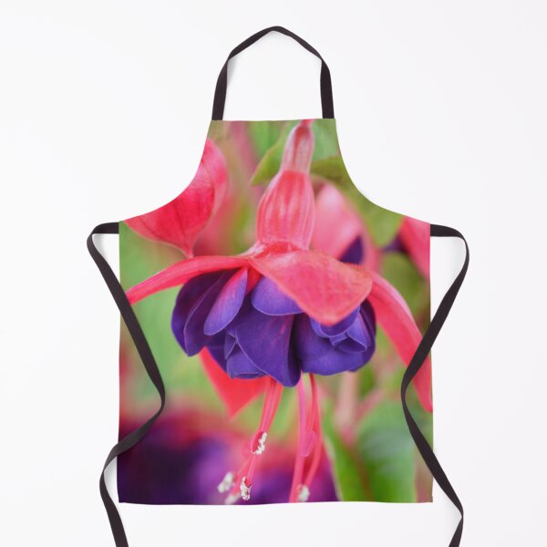 Item preview, Fuchsia 'Perpetual Falls' designed and sold by Chris Burrows.