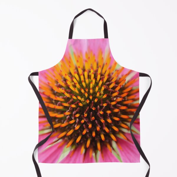 Item preview, Echinacea purpurea Primadonna Pink flowered Cone flower designed and sold by Chris Burrows.