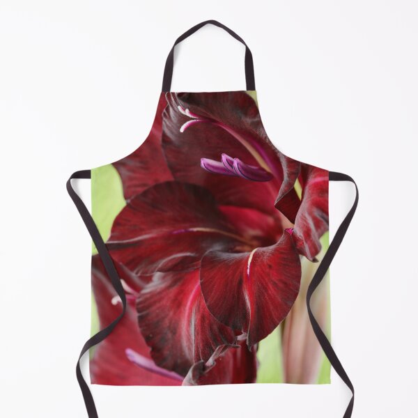 Item preview, Gladiolus 'Espresso' Sword lily designed and sold by Chris Burrows.