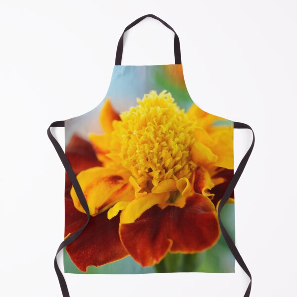 Item preview, Tagetes patula 'Mowgli Bicolour' Dwarf French marigold designed and sold by Chris Burrows.