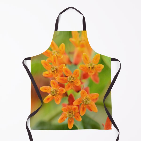 Item preview, Asclepias tuberosa Butterfly flower,Asclepias designed and sold by Chris Burrows.