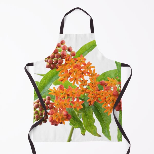 Item preview, Asclepias tuberosa Butterfly flower designed and sold by Chris Burrows.