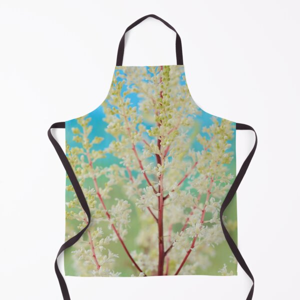 Item preview, Astilbe 'Rock and Roll' False goat's beard designed and sold by Chris Burrows.