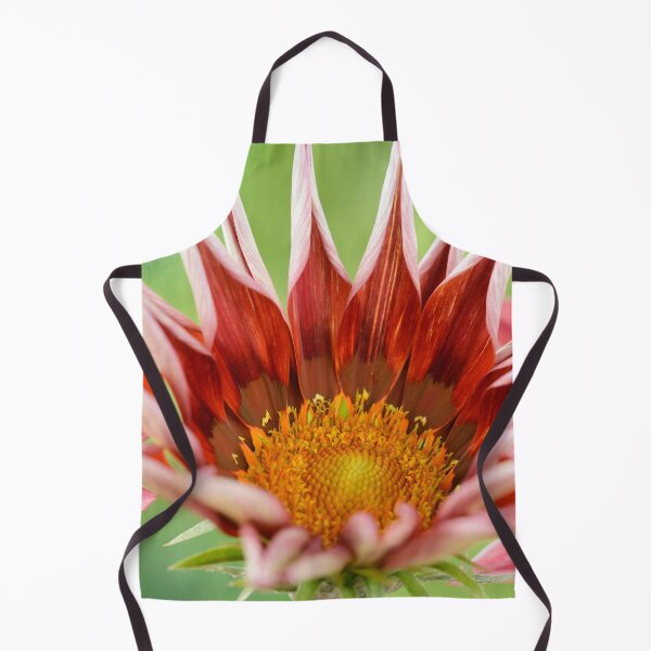 Item preview, Gazania 'Otomi' Sunbathers Series designed and sold by Chris Burrows.