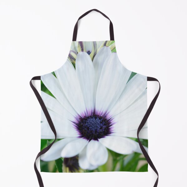 Item preview, Osteospermum 'Sunny Carlos' Sunny Series designed and sold by Chris Burrows.