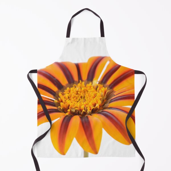 Item preview, Gazania  'Tikal'  SunBathers Series designed and sold by Chris Burrows.