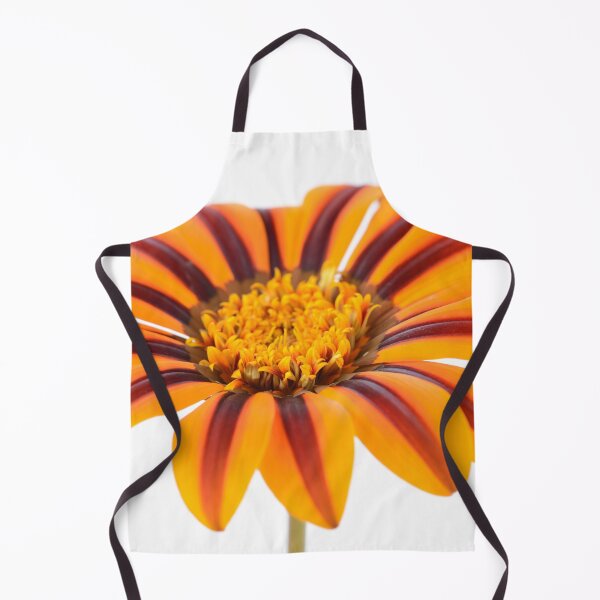 Item preview, Gazania  'Tikal'  SunBathers Series  designed and sold by Chris Burrows.