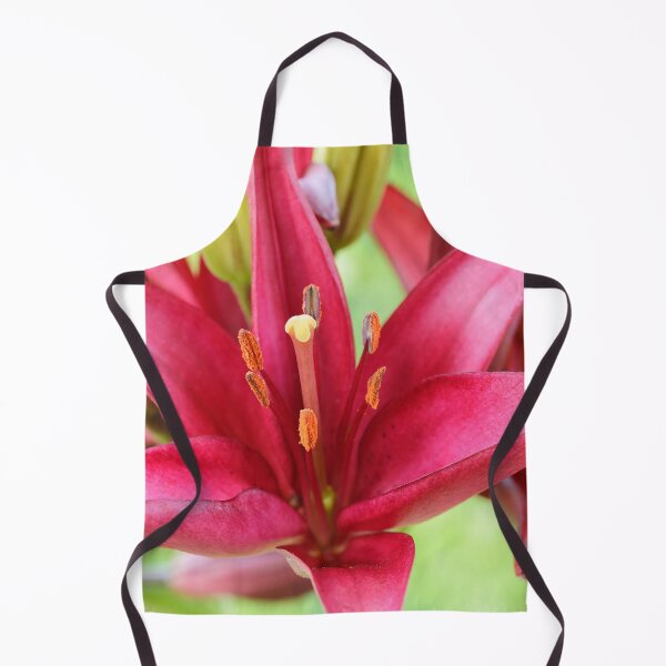 Item preview, Lilium  'Red Carpet'  Asiatic lily   designed and sold by Chris Burrows.