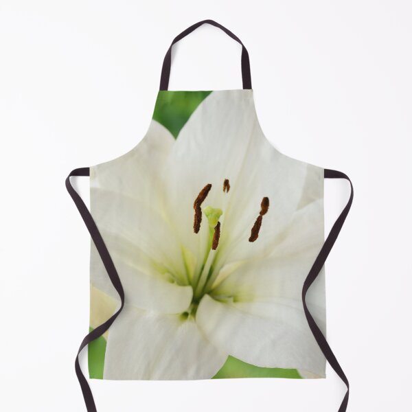 Item preview, Lilium  'Blizzard'  Asiatic lily  syn. Lilium  Apollo  designed and sold by Chris Burrows.