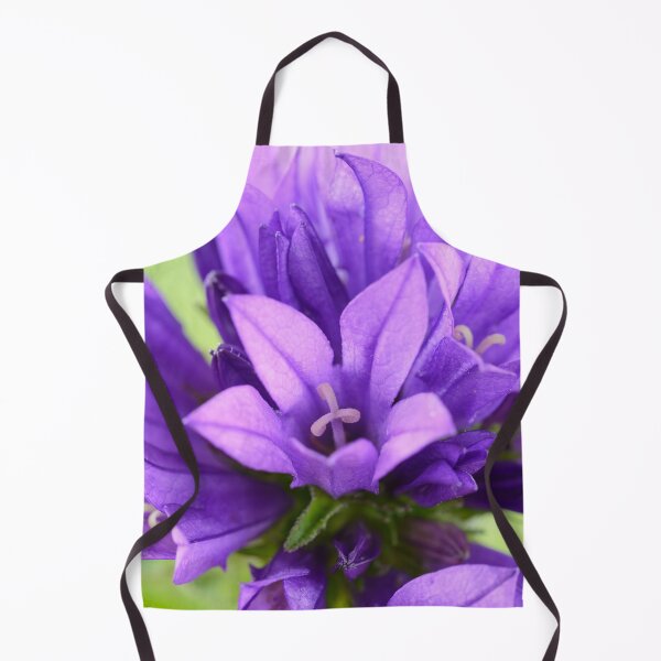 Item preview, Campanula glomerata  Clustered bellflower  designed and sold by Chris Burrows.