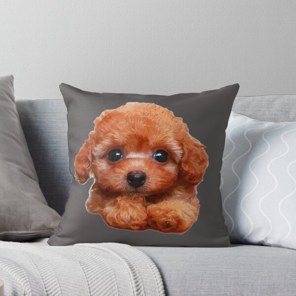 Item preview, Poodle Puppy Dog - Teacup Mini Standard all are so cute! designed and sold by ElegantCat.