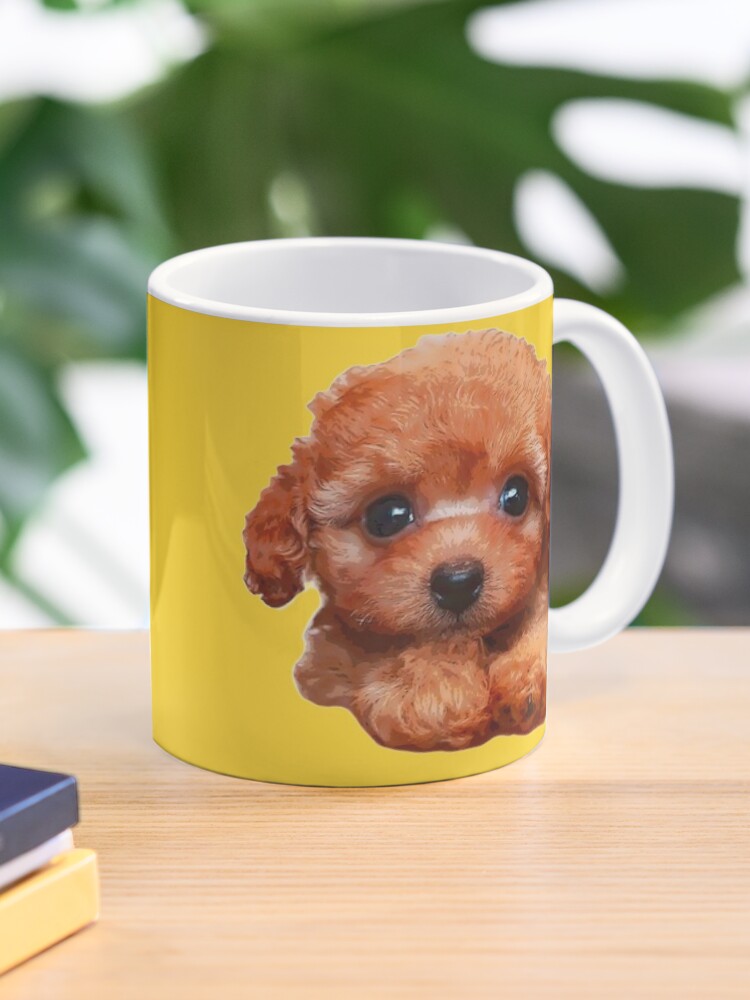 Toy poodle cup sale