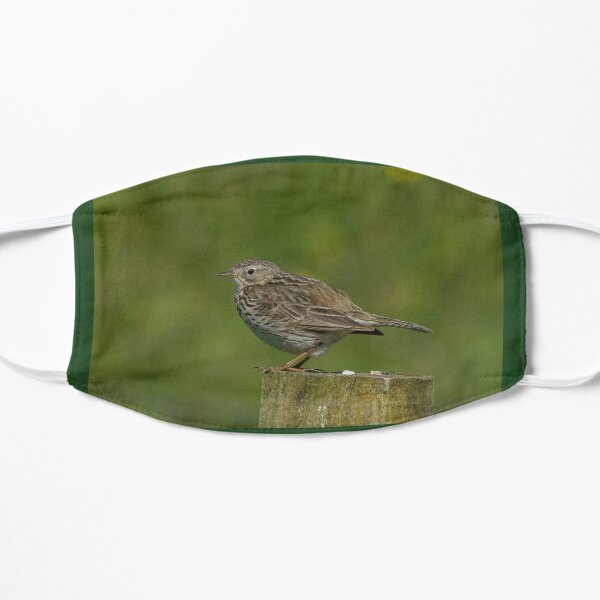 Meadow Pipit Flat Mask
