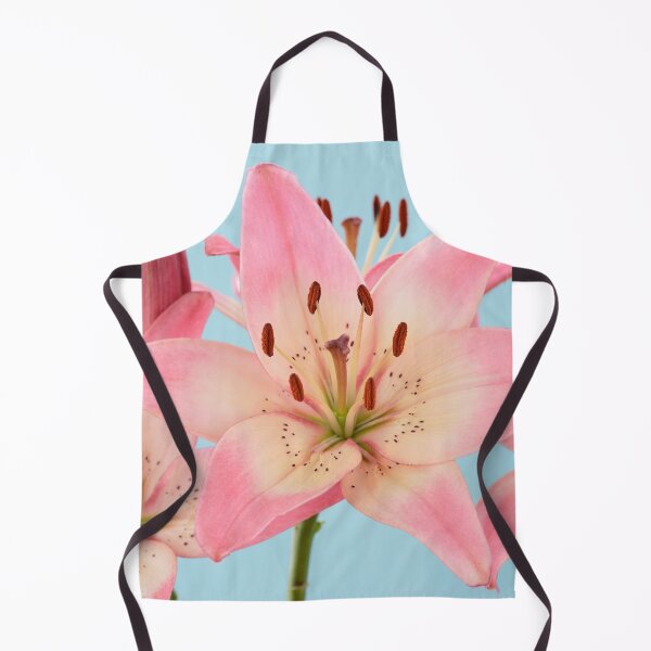 Item preview, Lilium  'Pink Pixie'  Dwarf Asiatic lily   designed and sold by Chris Burrows.