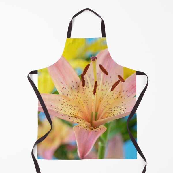 Item preview, Lilium  'Pink Pixie'  Dwarf Asiatic lily   designed and sold by Chris Burrows.