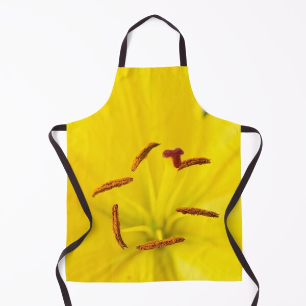 Item preview, Lilium  'Butter Pixie'  Dwarf Asiatic lily   designed and sold by Chris Burrows.