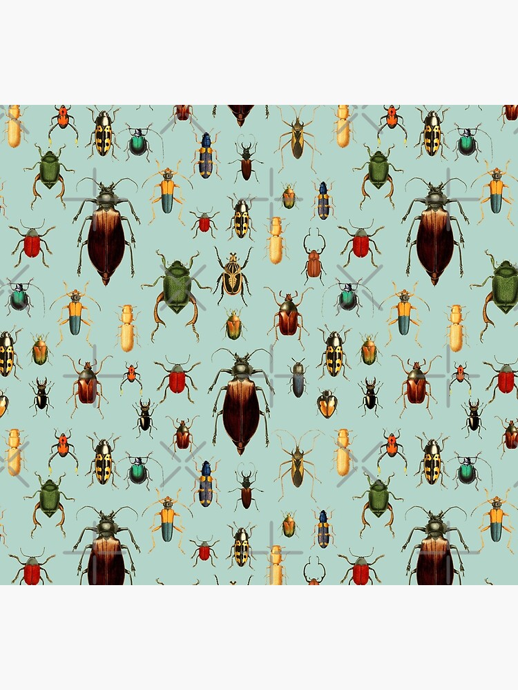 Entomologist's Wish - Beetles and Bugs by UtArt