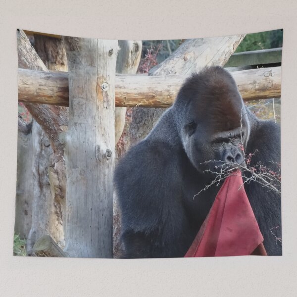Item preview, Gorilla Play-time designed and sold by Catavan.