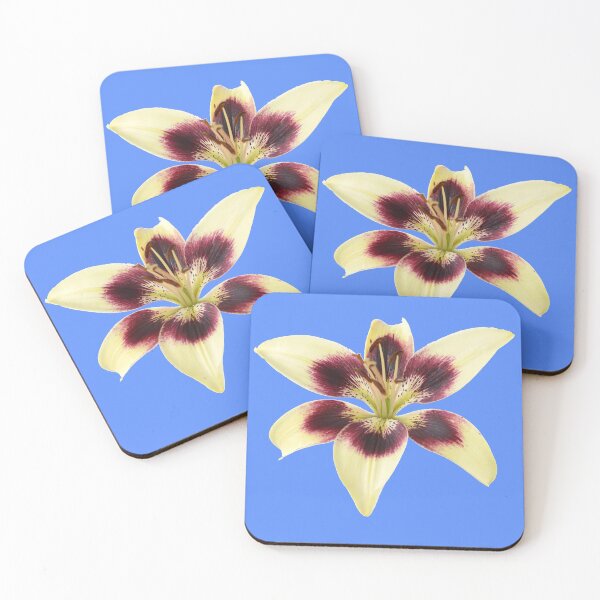 Item preview, Lilium  'Patricia's Pride'  Asiatic lily  designed and sold by Chris Burrows.