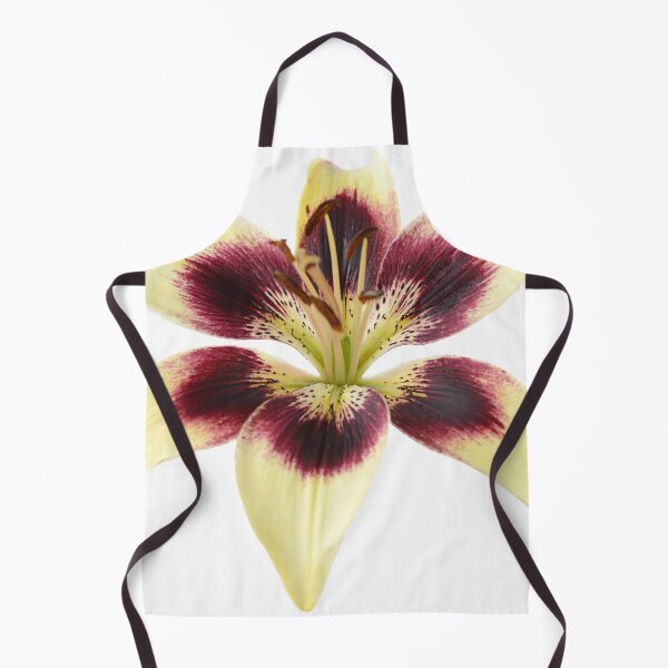 Item preview, Lilium  'Patricia's Pride'  Asiatic lily  designed and sold by Chris Burrows.