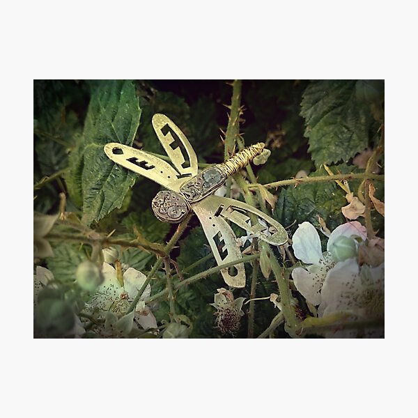 Steampunk Dragonfly Photographic Print